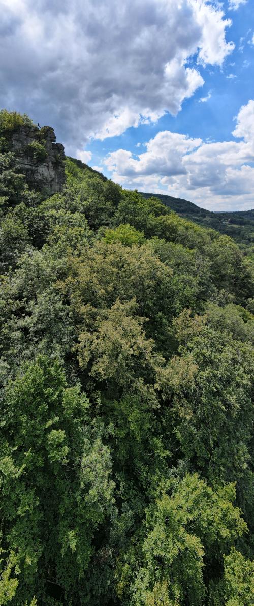 Les gardiens des gorges de la Sioule [30-07-2022](1135).jpg